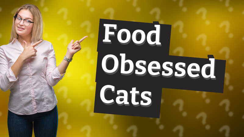 Food Obsessed Cats