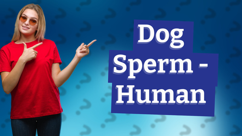 Dog Sperm - Human