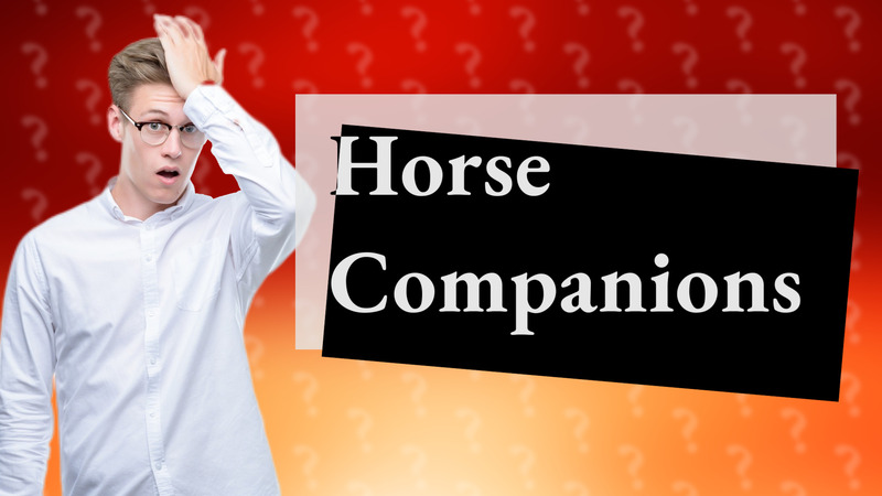 Horse Companions