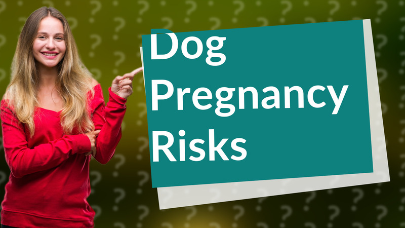 Dog Pregnancy Risks