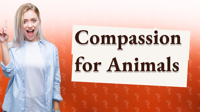Compassion for Animals