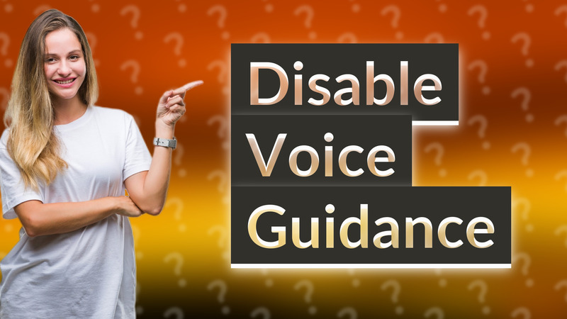 Disable Voice Guidance