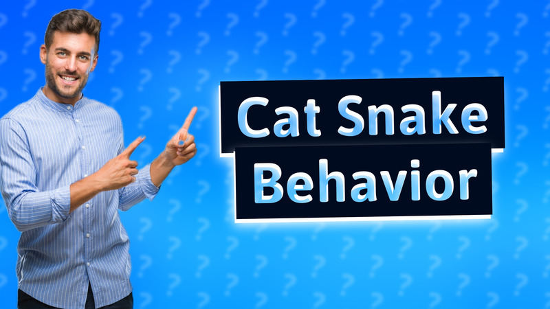 Cat Snake Behavior