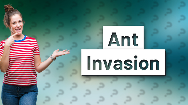 Ant Invasion