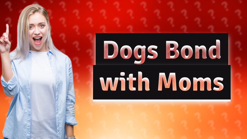 Dogs Bond with Moms