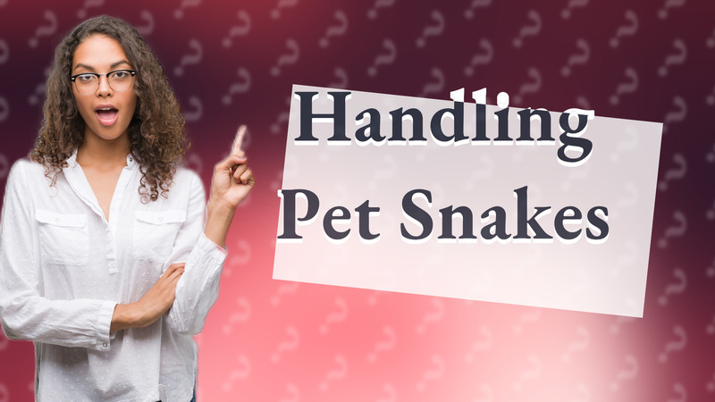 Handling Pet Snakes