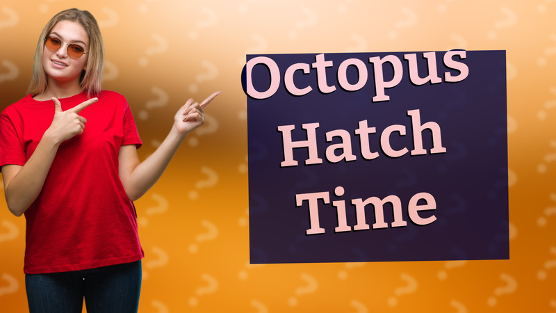 Octopus Hatch Time