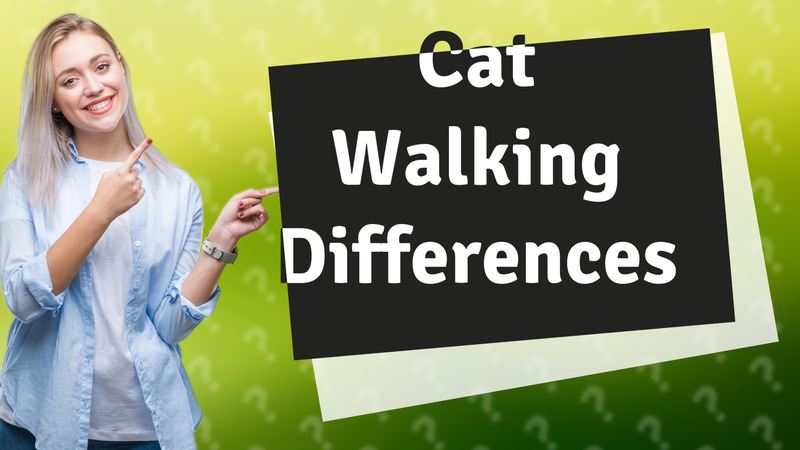 Cat Walking Differences