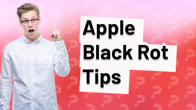 Apple Black Rot Tips