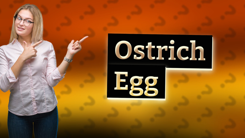 Ostrich Egg