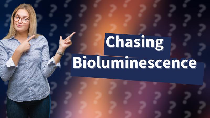 Chasing Bioluminescence