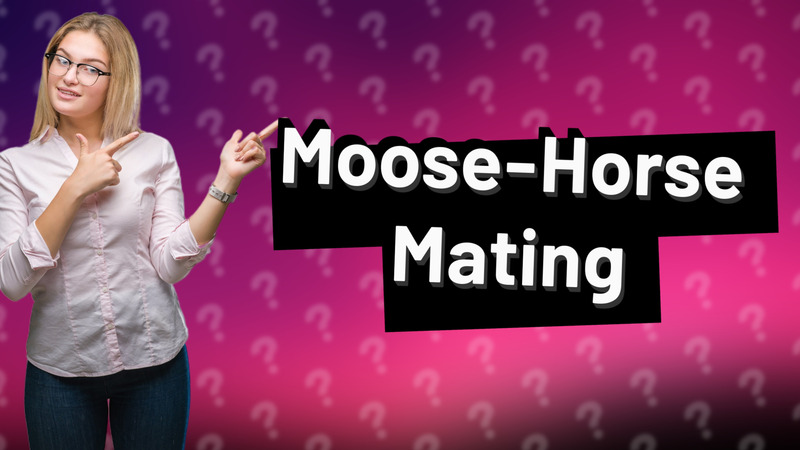 Moose-Horse Mating