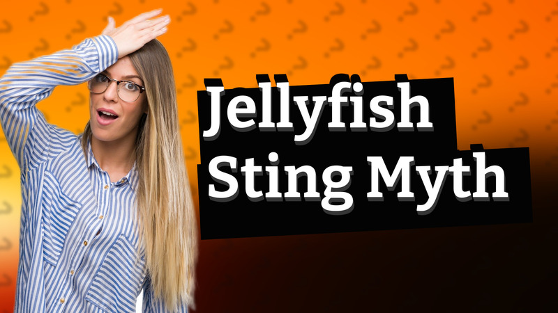 Jellyfish Sting Myth