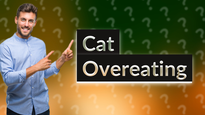Cat Overeating