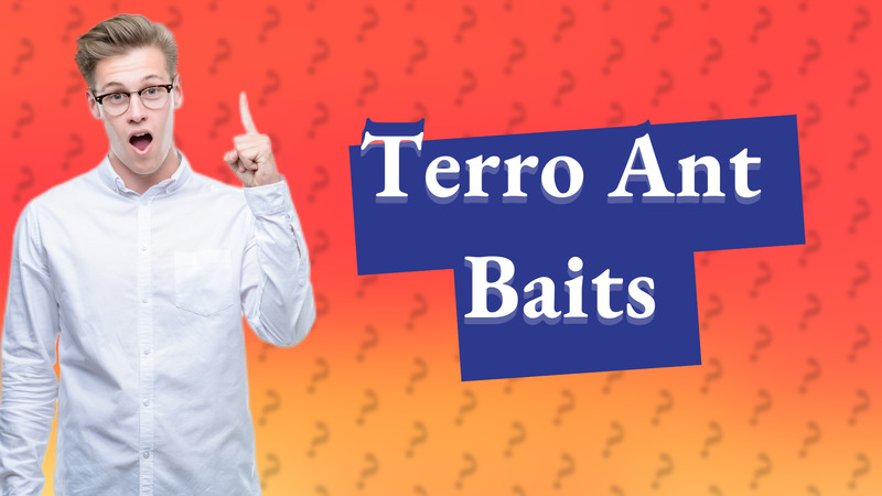 Terro Ant Baits