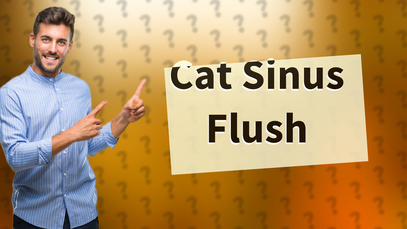 Cat Sinus Flush