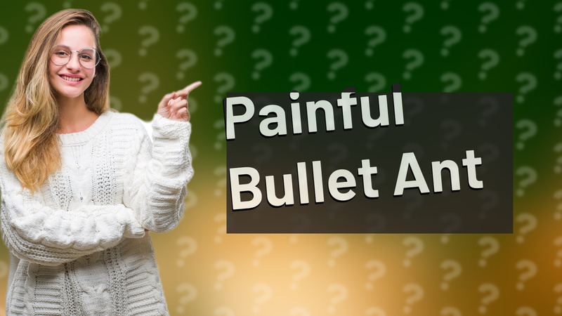 Painful Bullet Ant
