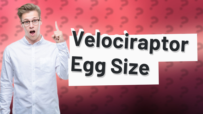 Velociraptor Egg Size