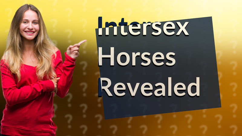 Intersex Horses Revealed