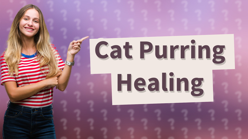Cat Purring Healing