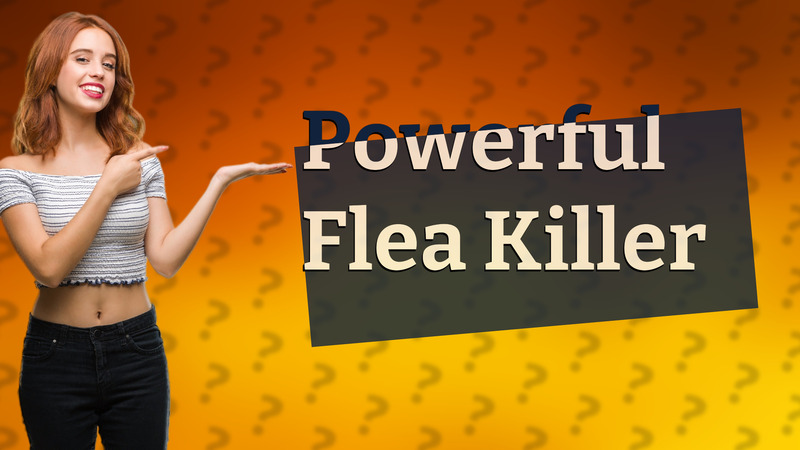 Powerful Flea Killer
