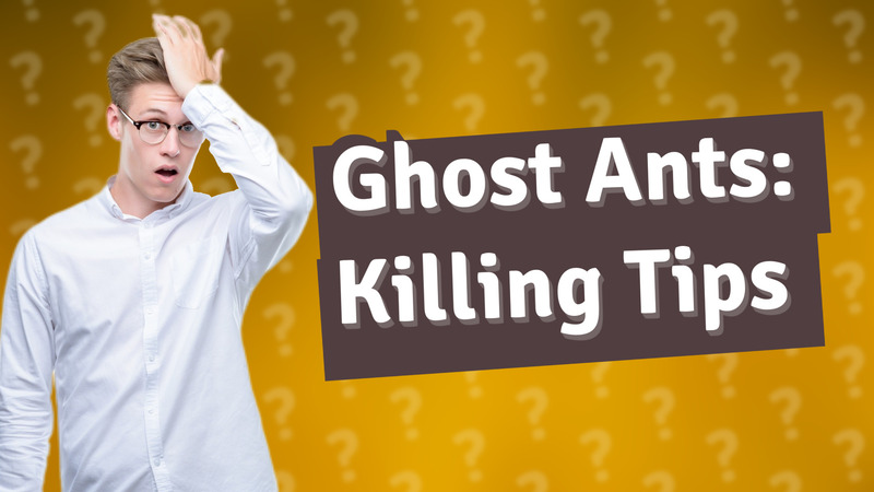 Ghost Ants: Killing Tips