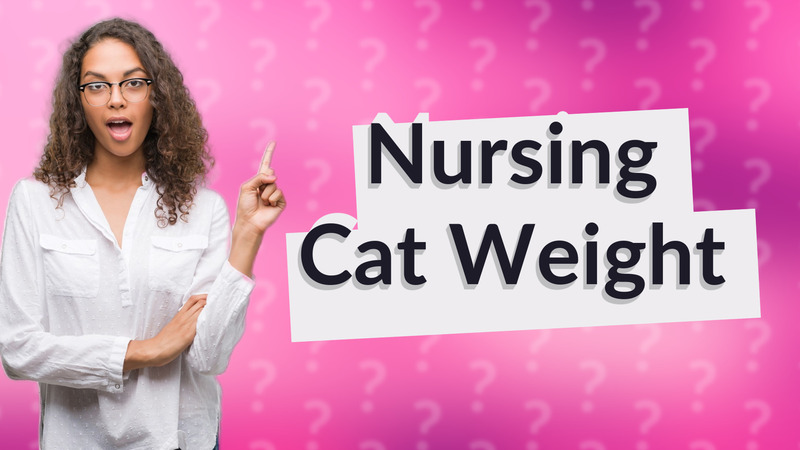 Nursing Cat Weight