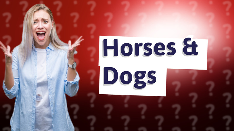 Horses & Dogs