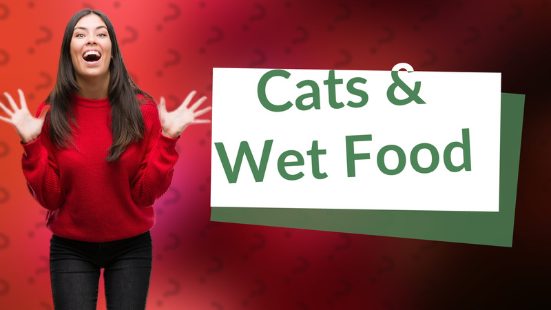 Cats & Wet Food