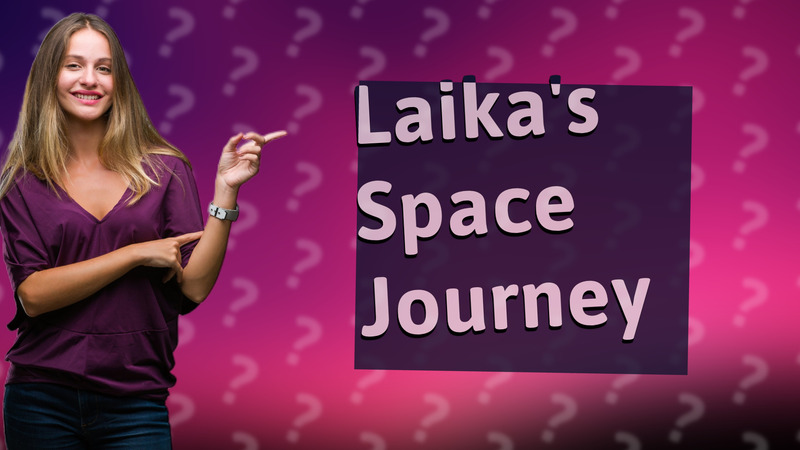 Laika's Space Journey