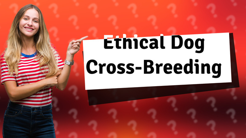 Ethical Dog Cross-Breeding