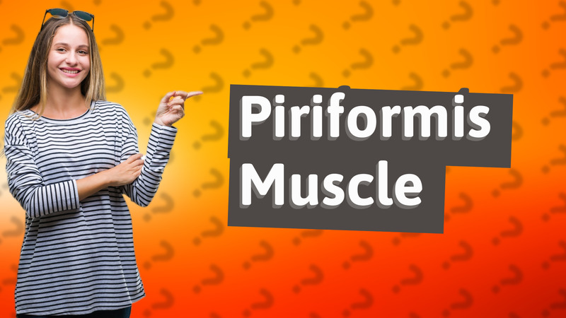 Piriformis Muscle