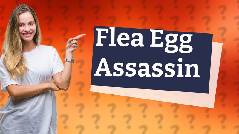 Flea Egg Assassin