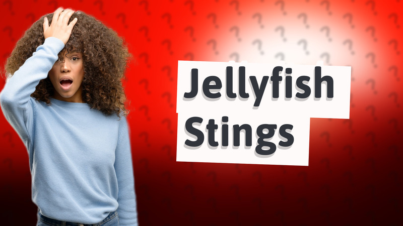 Jellyfish Stings