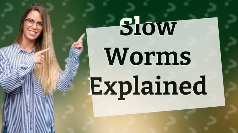 Slow Worms Explained