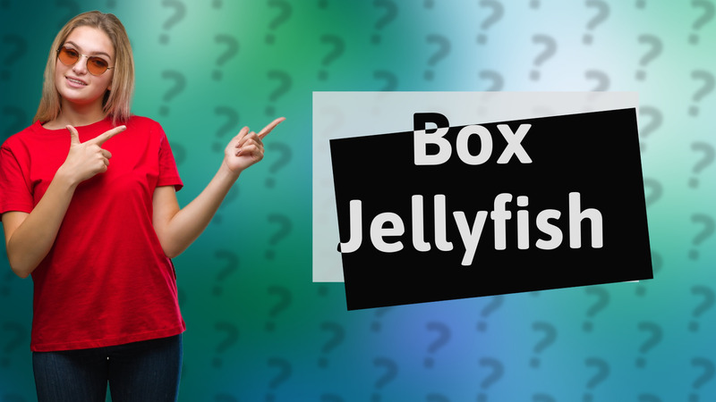 Box Jellyfish