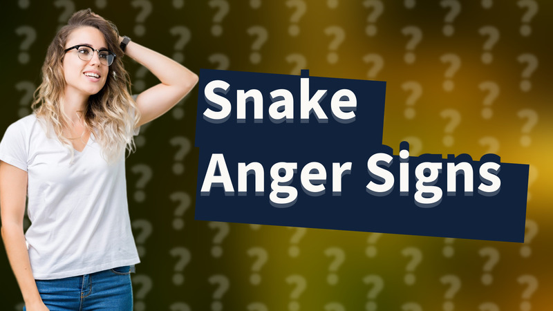Snake Anger Signs