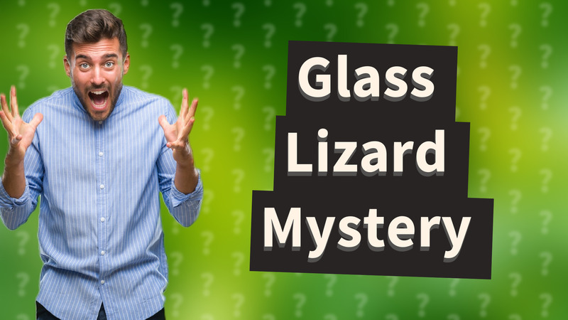 Glass Lizard Mystery