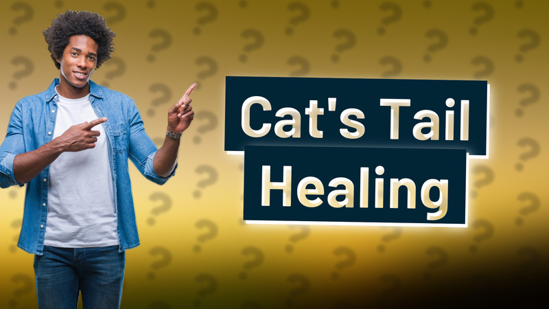 Cat's Tail Healing