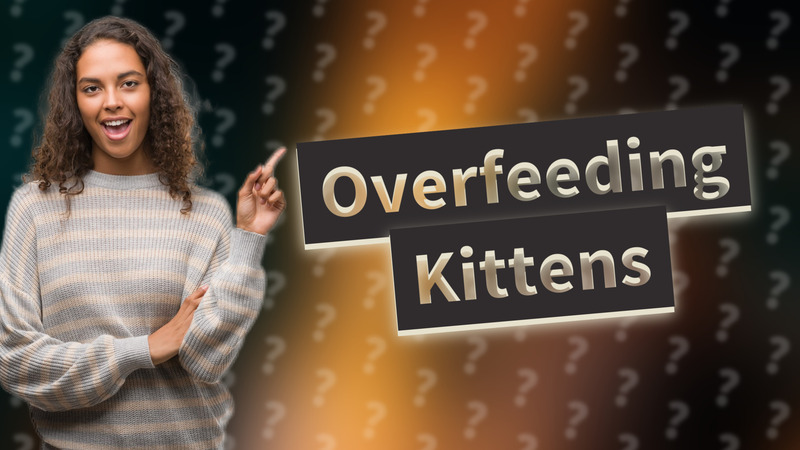 Overfeeding Kittens