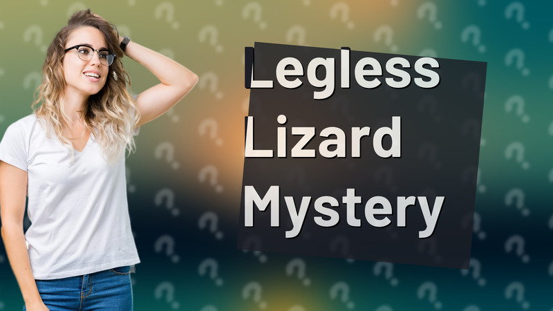 Legless Lizard Mystery