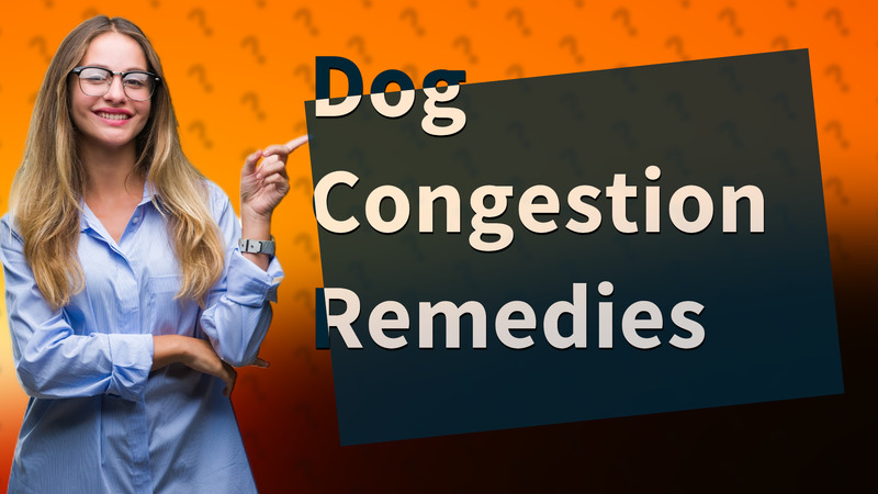 Dog Congestion Remedies