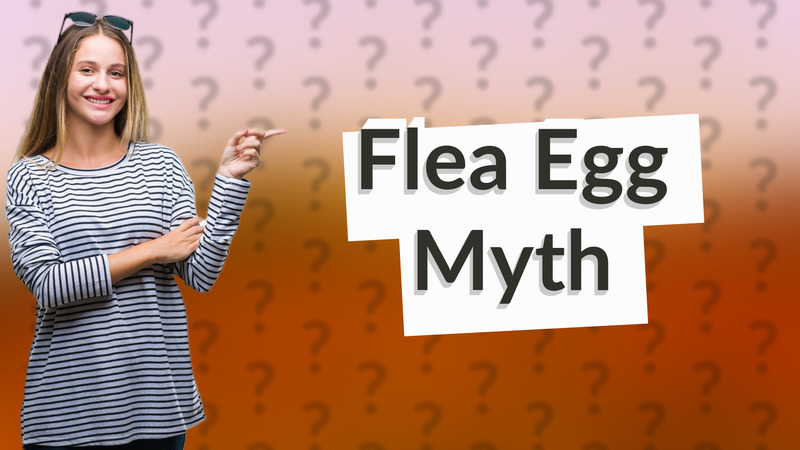 Flea Egg Myth