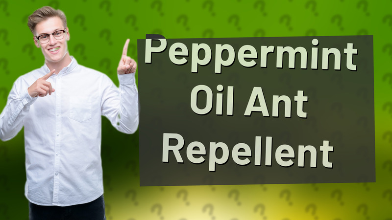 Peppermint Oil Ant Repellent