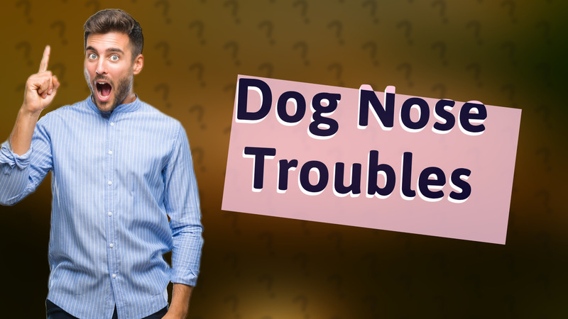 Dog Nose Troubles