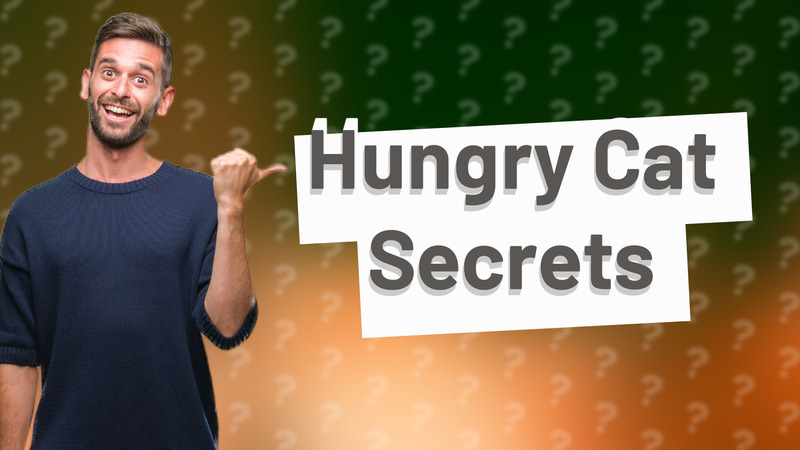 Hungry Cat Secrets