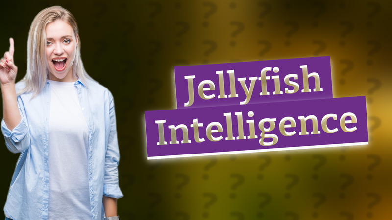 Jellyfish Intelligence