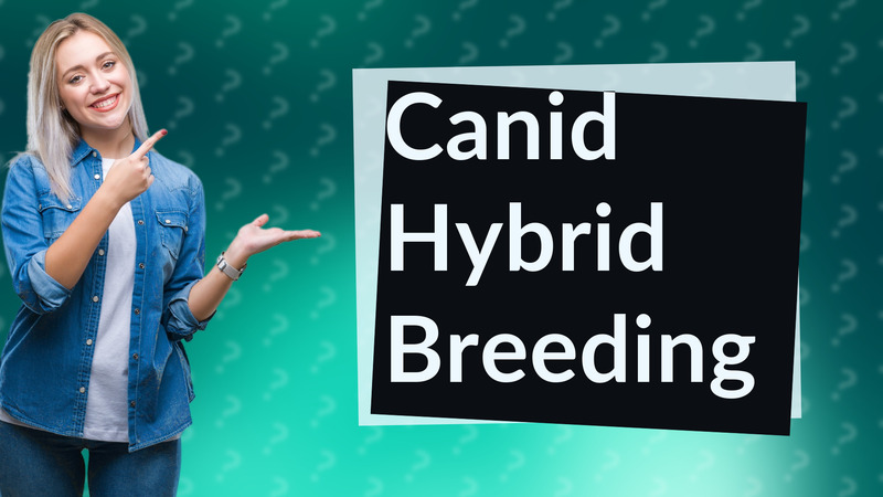 Canid Hybrid Breeding