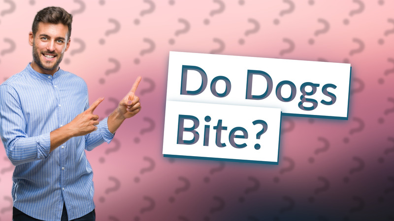 Do Dogs Bite?