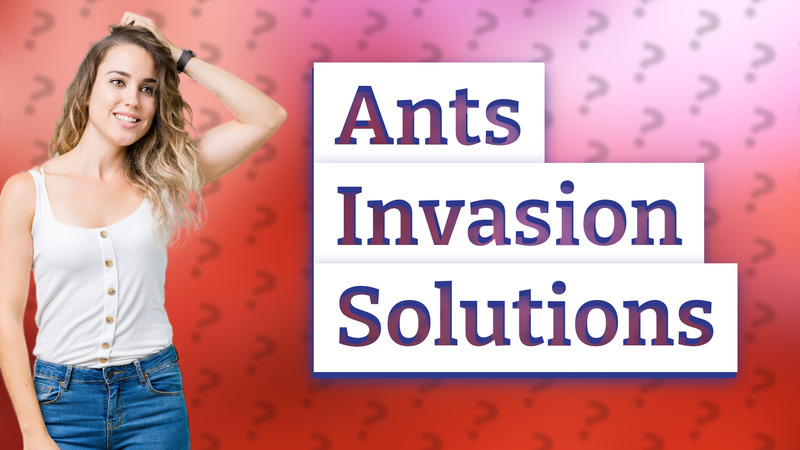 Ants Invasion Solutions